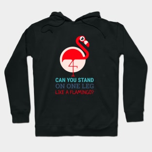 talented flamingo (can you stand on one leg like a flamingo?) Hoodie